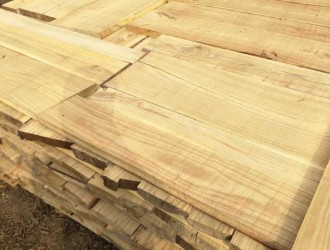 湖南森达木材加工厂家直销红椿木锯材 紫木锯材 梓木板材