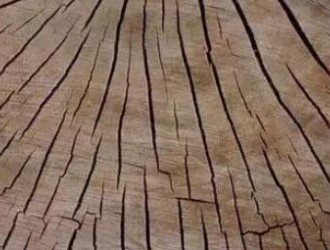 谈谈何为木材的应力_木材干燥与应力的关系