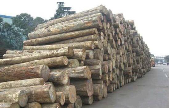 2017年澳大利亚预计木材出口总量将超400万立方