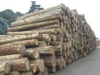 2017年澳大利亚预计木材出口总量将超400万立方