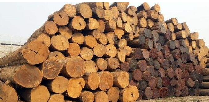 木材行情火热减退，市场价格有所回落