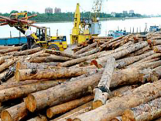 前十月靖江港木材进口突破300万方