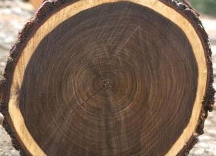 国标红木里最重最硬的木材是哪一种？