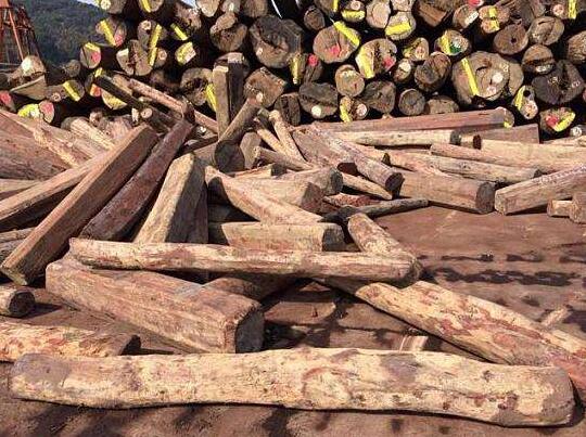 红木主流市场的"新宠"，这8种木材已成红木市场主力。