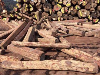 红木主流市场的"新宠"，这8种木材已成红木市场主力。