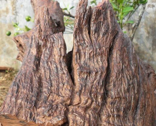 怎么鉴别紫柚木的真假