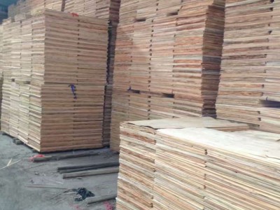 桉木芯板 杨木木皮 桉木板皮首先临沂龙腾木业
