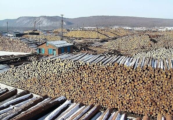 重庆将投资25亿元打造国际木材商品交易中心