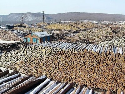 重庆将投资25亿元打造国际木材商品交易中心