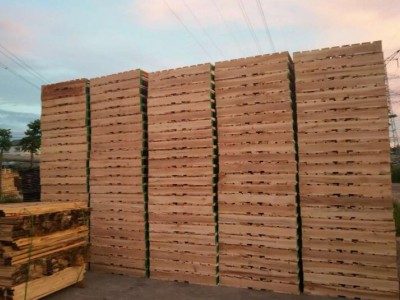 印尼改革政策应对木材认证对出口的影响