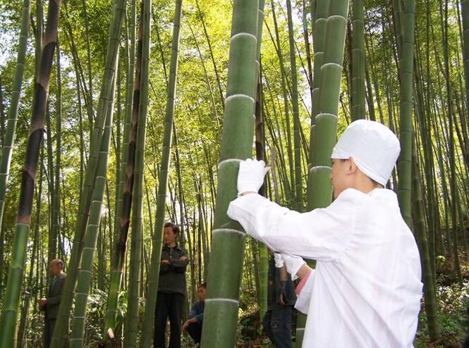 竹筒酒厂家知识 竹筒酒知识关于酒的这些误区