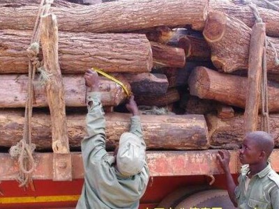 莫桑比克11月初截获6部非法木材运输车辆
