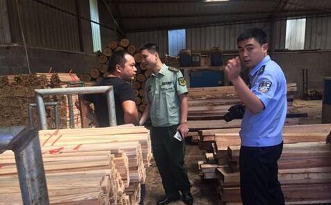 内蒙古莫尔道嘎开展木材加工经营专项整治行动