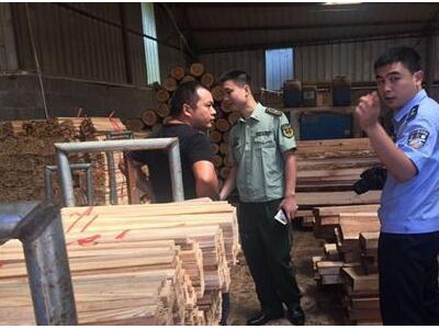 内蒙古莫尔道嘎开展木材加工经营专项整治行动