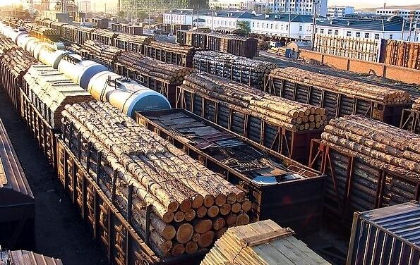 满洲里口岸俄罗斯木材进口量创同期历史新高