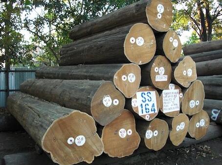 老挝柚木到底是什么木头 如何挑选柚木家具 柚木家具保养