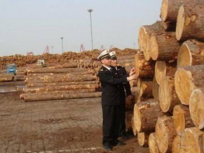 BC省林业部长访华，探讨木材贸易合作