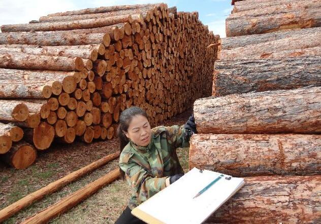 国家原木木材检尺标准及计算方法