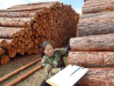 国家原木木材检尺标准及计算方法