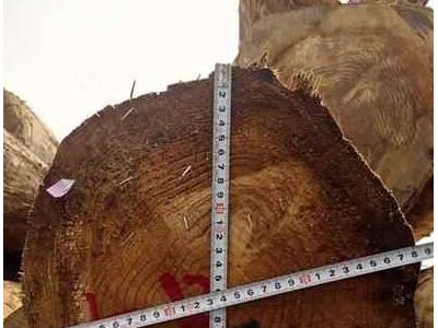 常用原材_常用木材检尺方法（图）