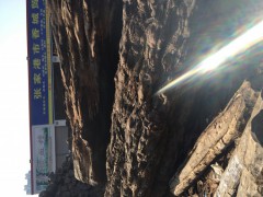 工艺材，沉贵宝图2