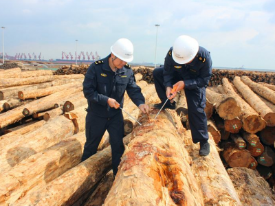 天津检验检疫除害处理一批入境原木中有害生物
