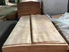 简介：