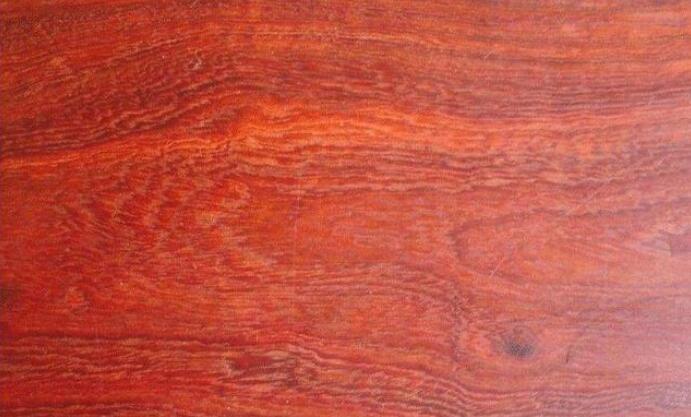 未来红檀是否会跻身红木家具市场成为主流木材？