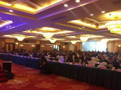 第二届中国（贵港）木材加工产业发展高峰论坛举行