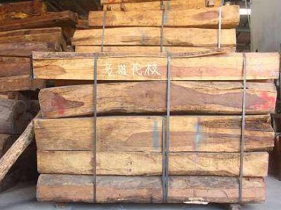 原木市场行情：巴里黄檀价格高企引关注，俄罗斯木材价格走稳