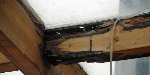 木材腐烂而动摇建筑结构，也使建筑中其余木料均遭浪费。