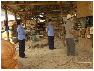 广东和平县开展木材加工企业清理整顿专项行动