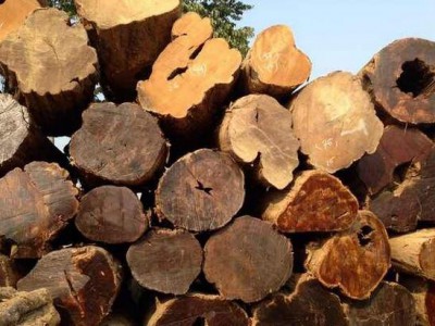广东和平县开展木材加工企业清理整顿专项行动