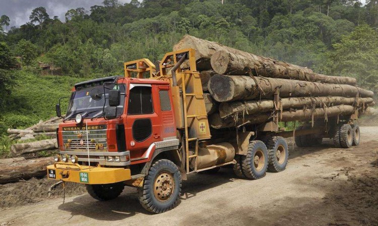 卡车短缺,运力紧张,木材缺货,北美木材业再遭打击