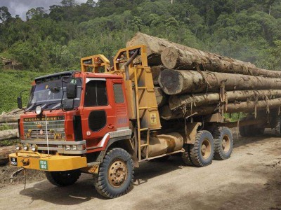 卡车短缺,运力紧张,木材缺货,北美木材业再遭打击