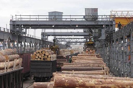 前八个月日本的木材出口同比增长62.4％
