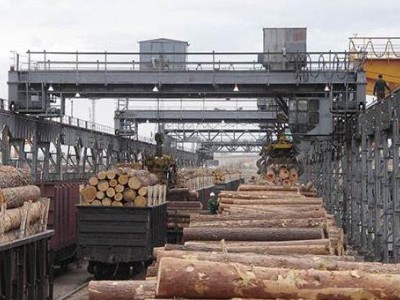 前八个月日本的木材出口同比增长62.4％