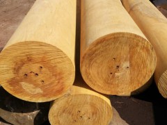 巴蒂木圆木|巴蒂木古建圆木|巴蒂木圆木加工厂家