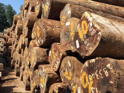 木材采伐缓慢增长意味着需求的大幅度增加