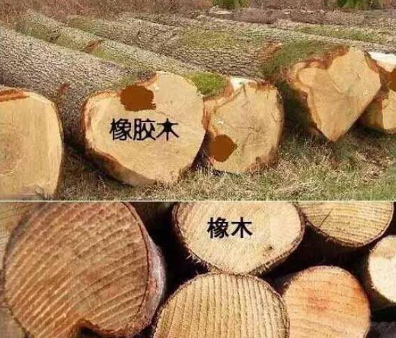 下面分析分析橡木和橡胶木的区别：
