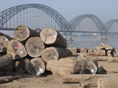 西双版纳州环保局召开木材厂污染纠纷协调会