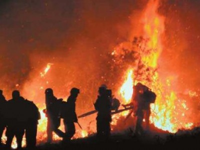 山西省平顺县发生森林火灾 2700余人扑救成功
