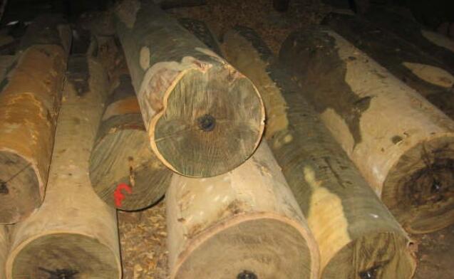 木材名称:绿檀木是什么木材价格