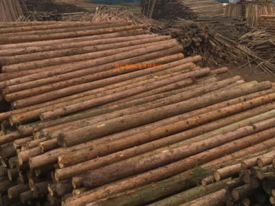 至11月30日全国针叶材原木总库存量360万方