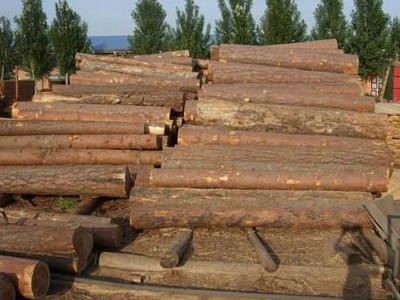 木业人必看：各国木材禁令对中国进口木材市场的影响