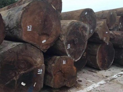 前9月智利辐射松木材出口同比下跌2%