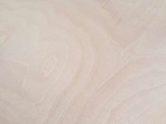 简介：