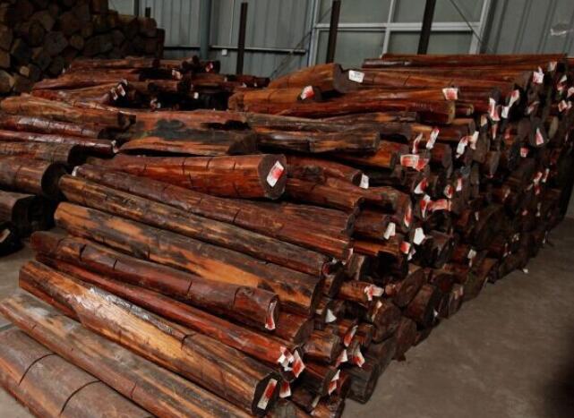 世界上密度最大的木材