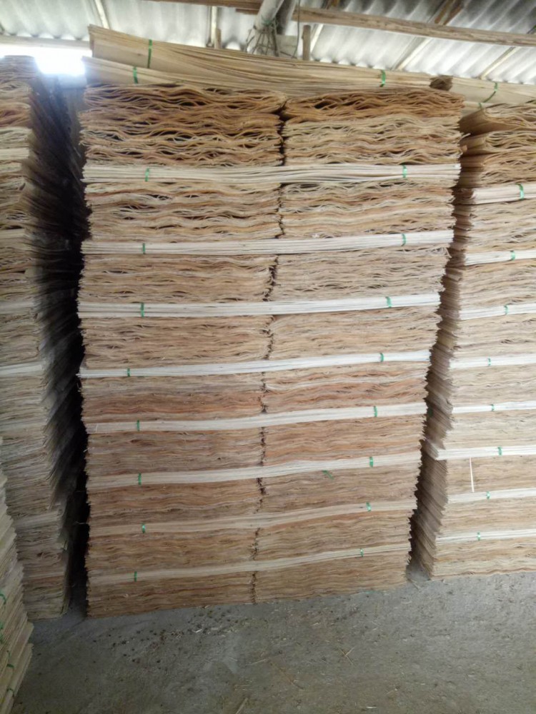 钦州桉木单板厂家直销价格