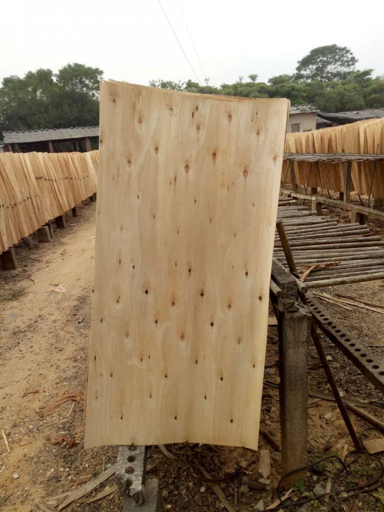广西桉木板皮
